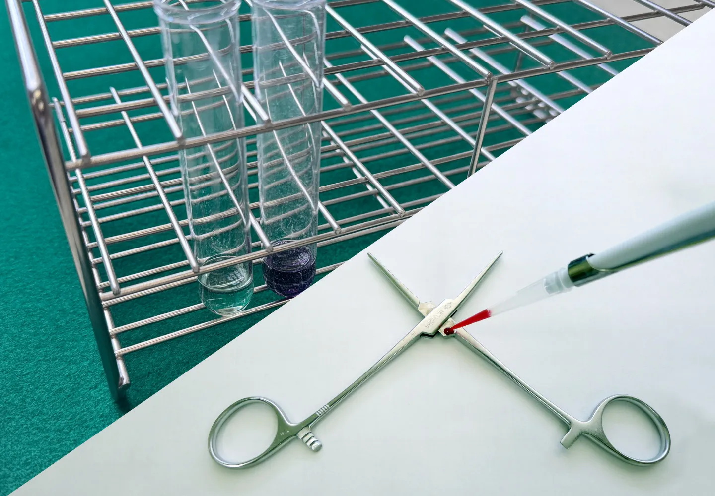 BCA・デバイス10